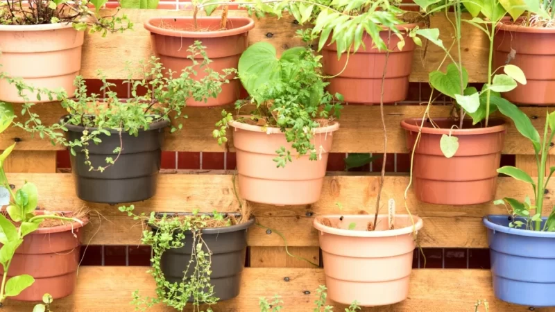 Maximizing Small Spaces With Vertical Gardening